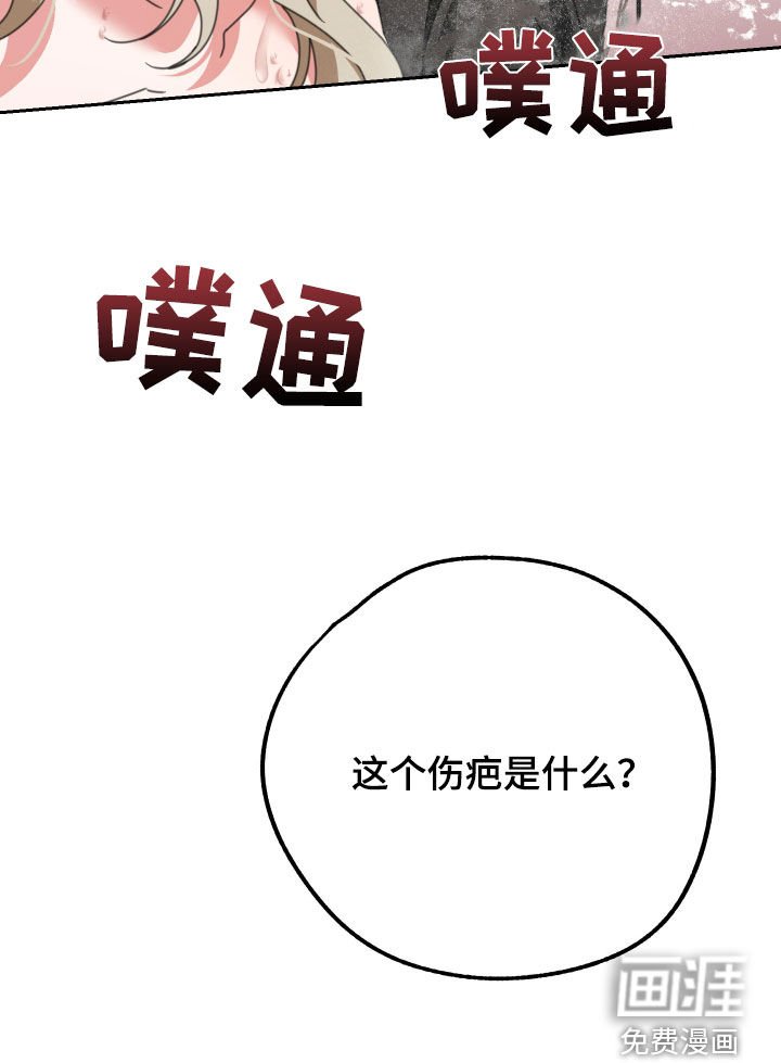 第20章：伤疤