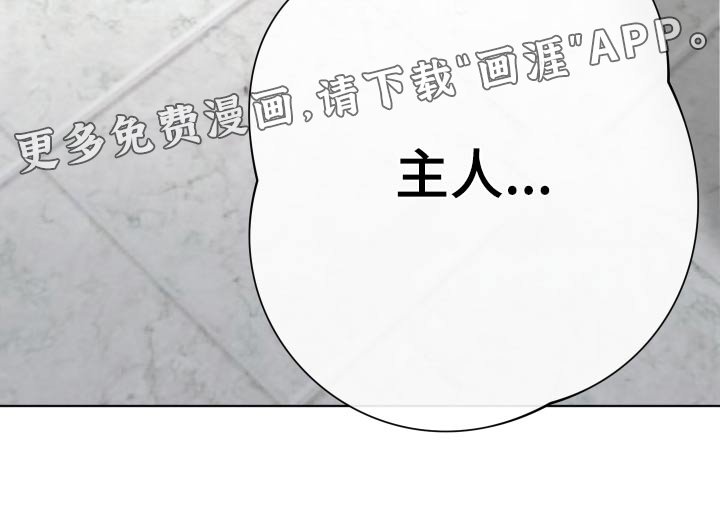 第36章：我错了