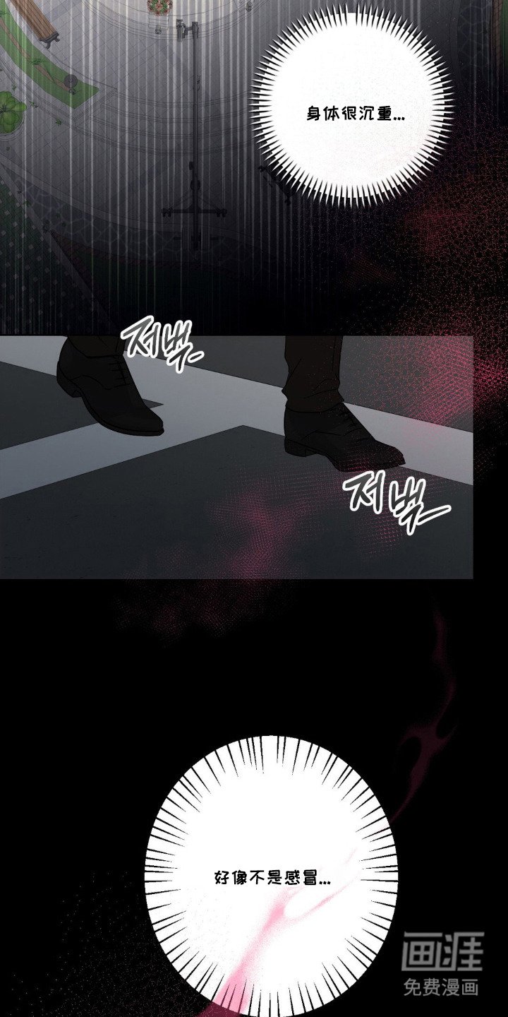 第13章：命运