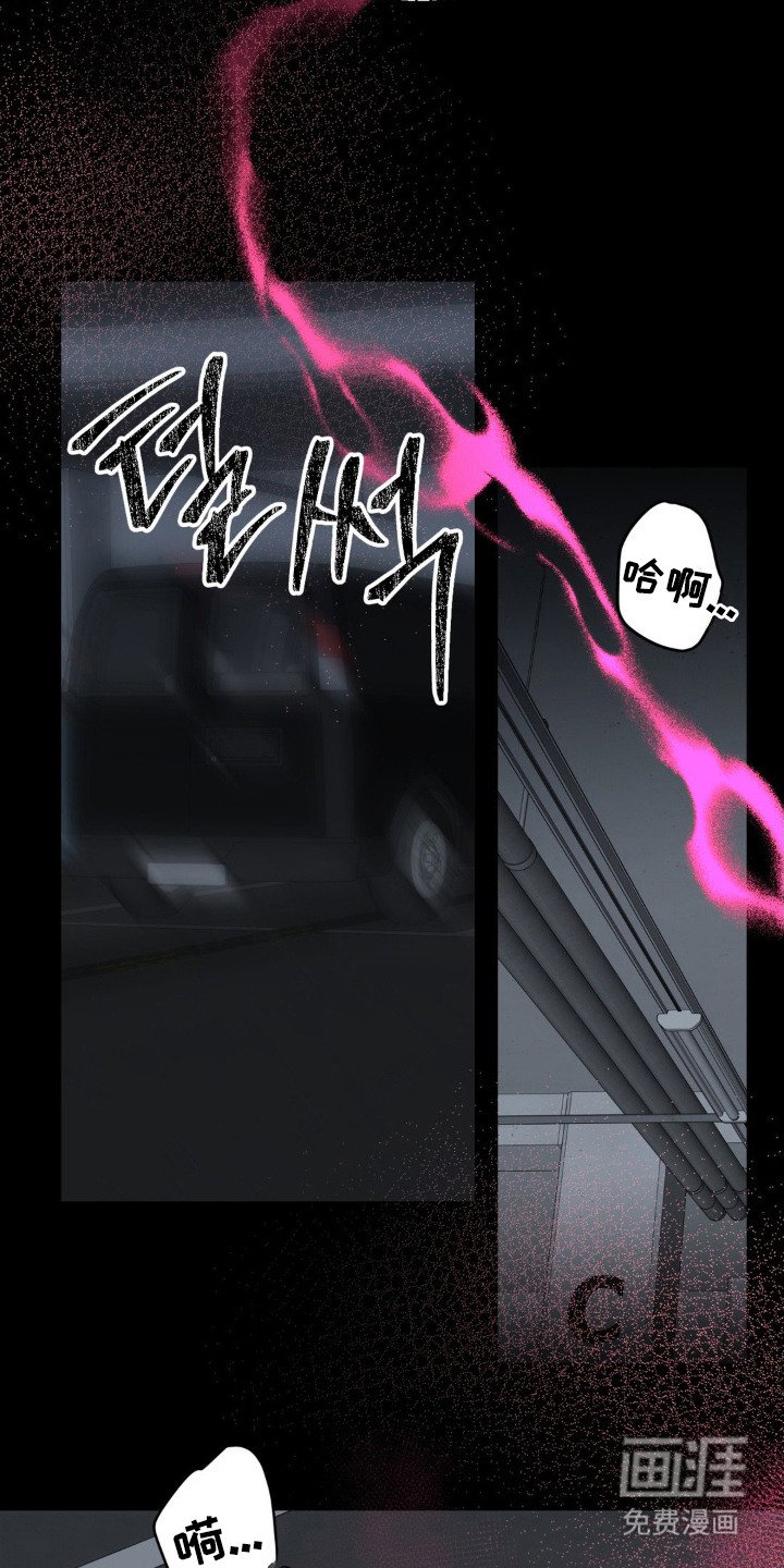 第13章：命运
