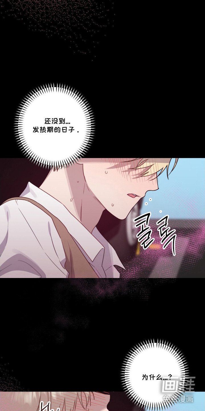 第13章：命运