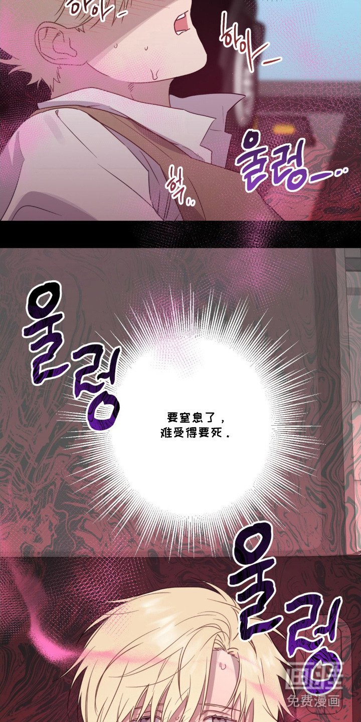 第13章：命运