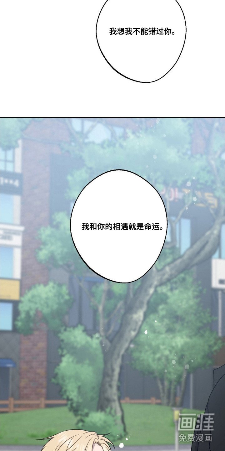 第13章：命运