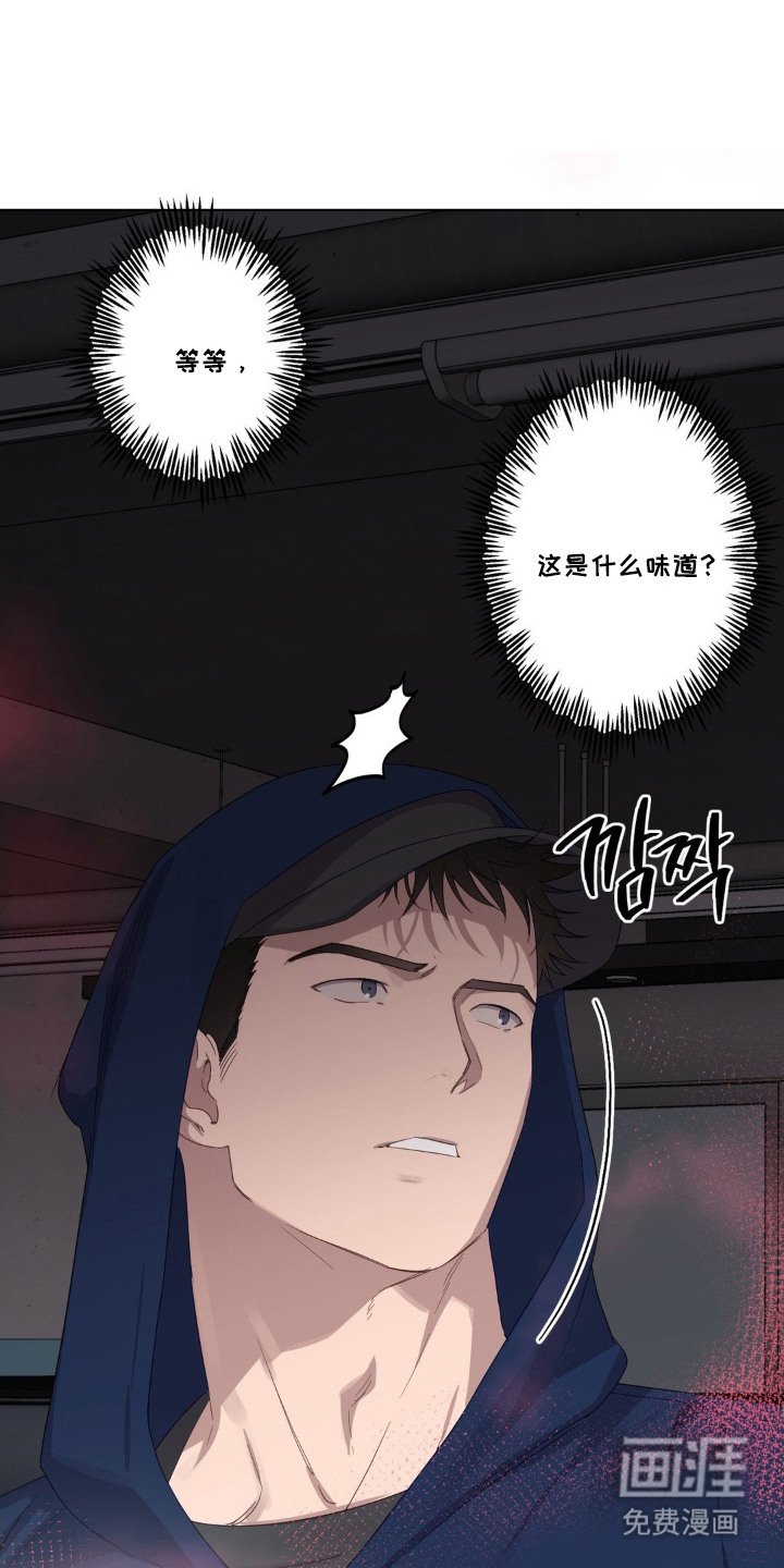 第2章：发热期