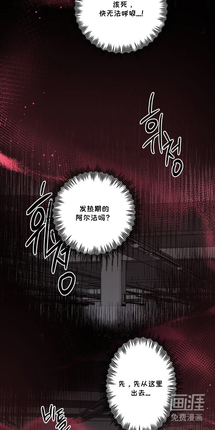 第2章：发热期