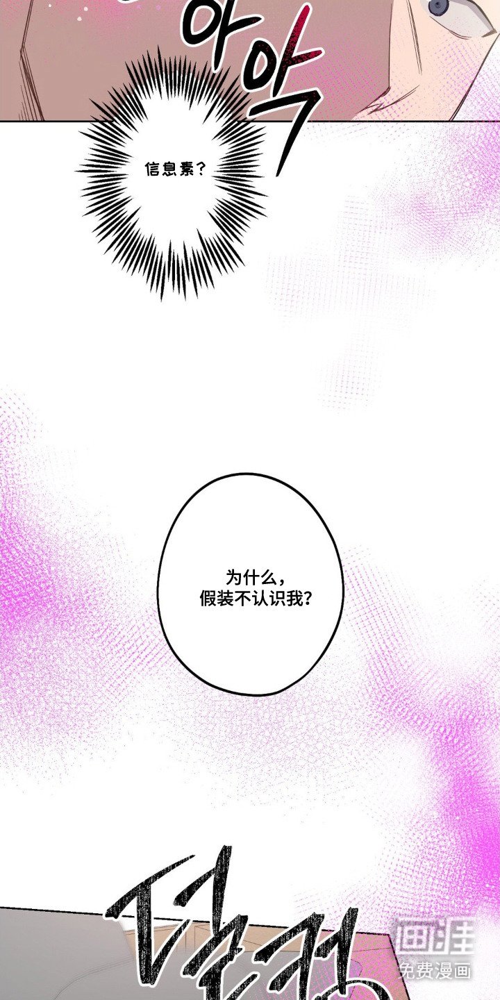 第6章：认出来了