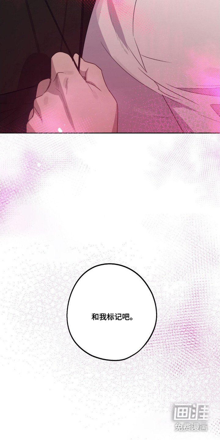 第7章：缘分