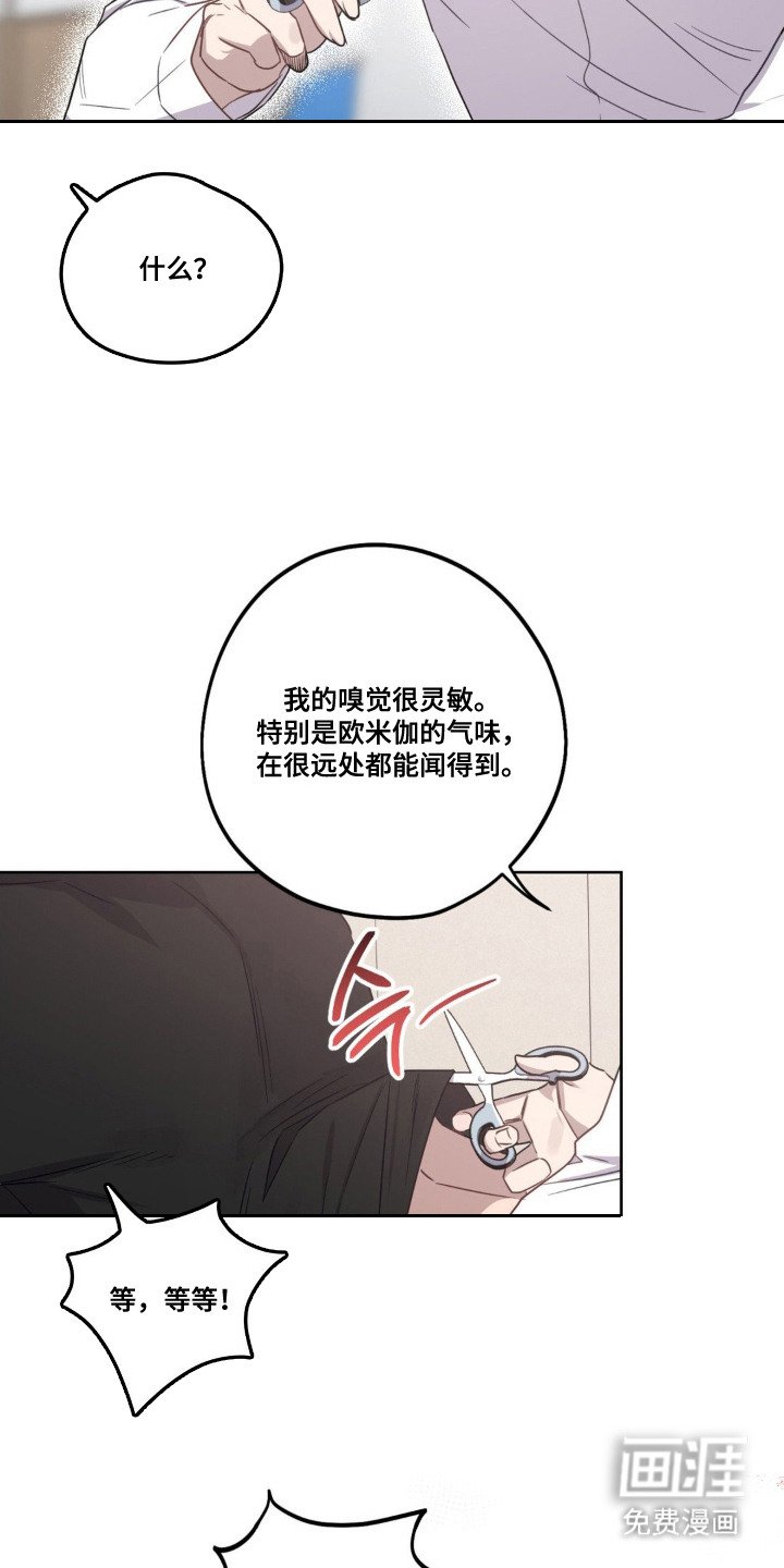 第7章：缘分