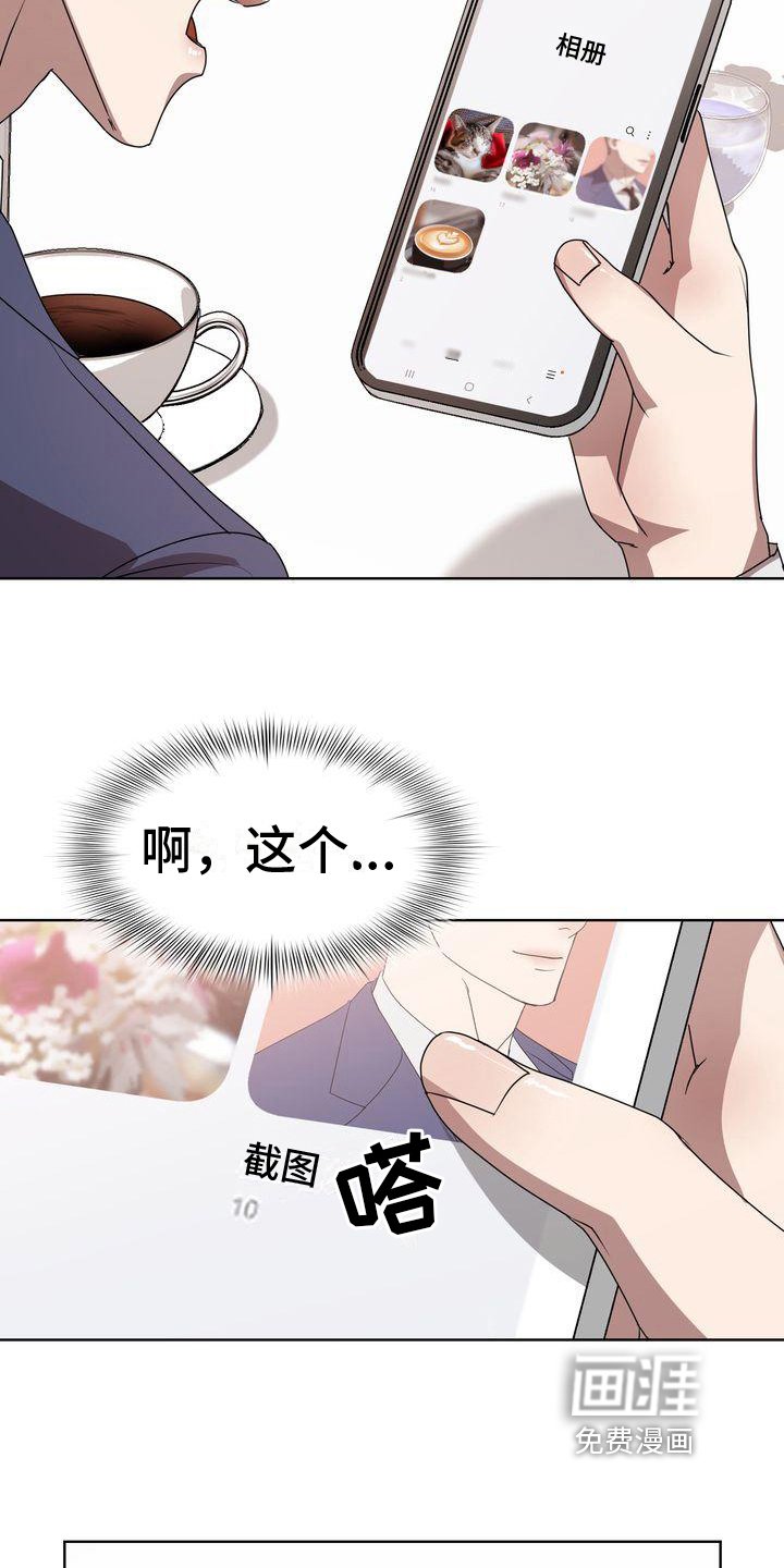 第15章：照片