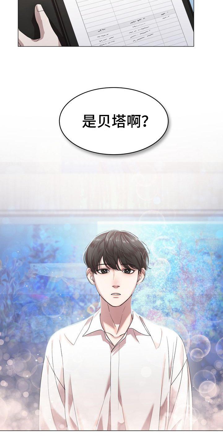第3章：贝塔