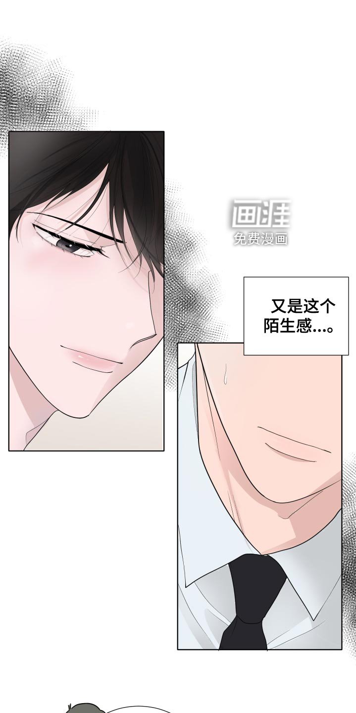 第39章：错觉