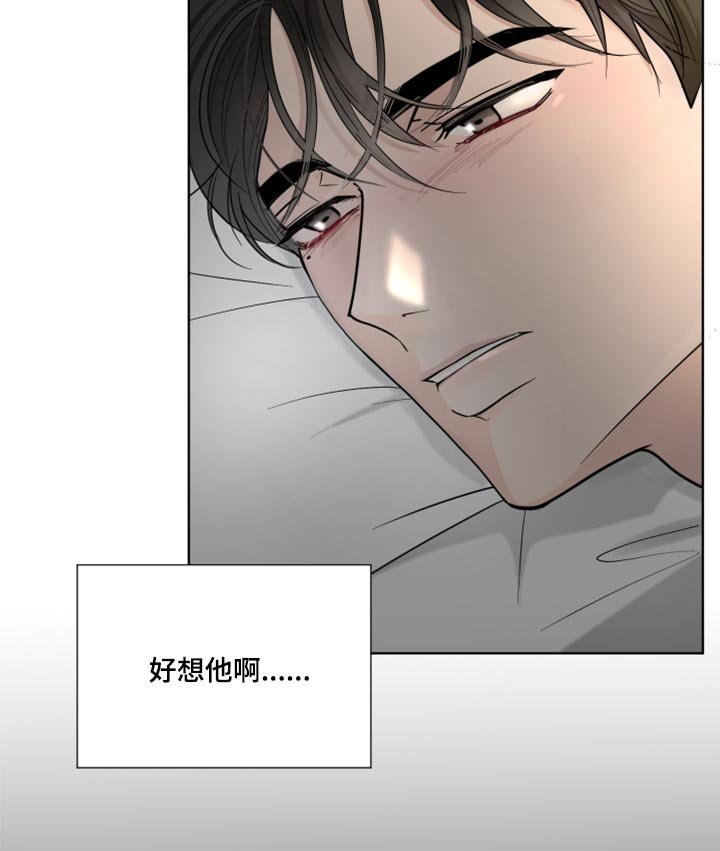 第54章：暂时保留感情