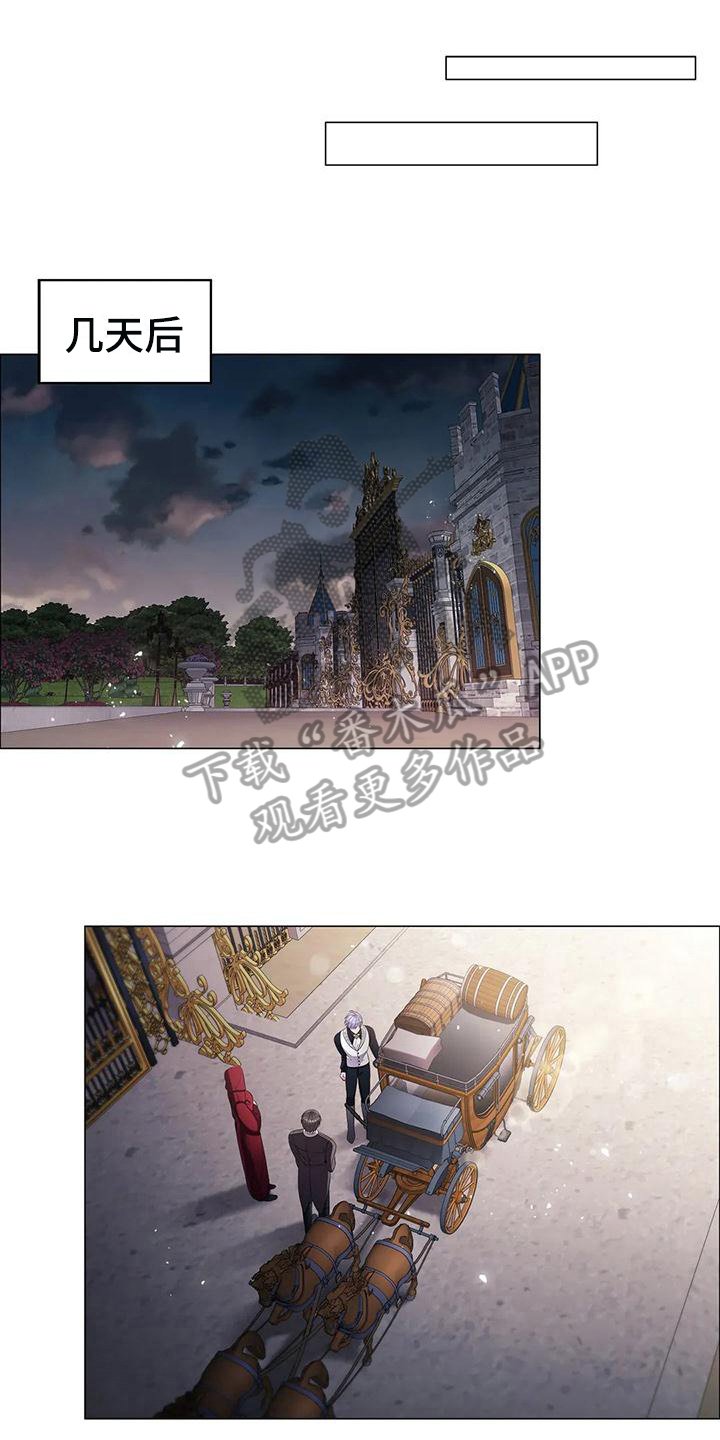 第29章：合作