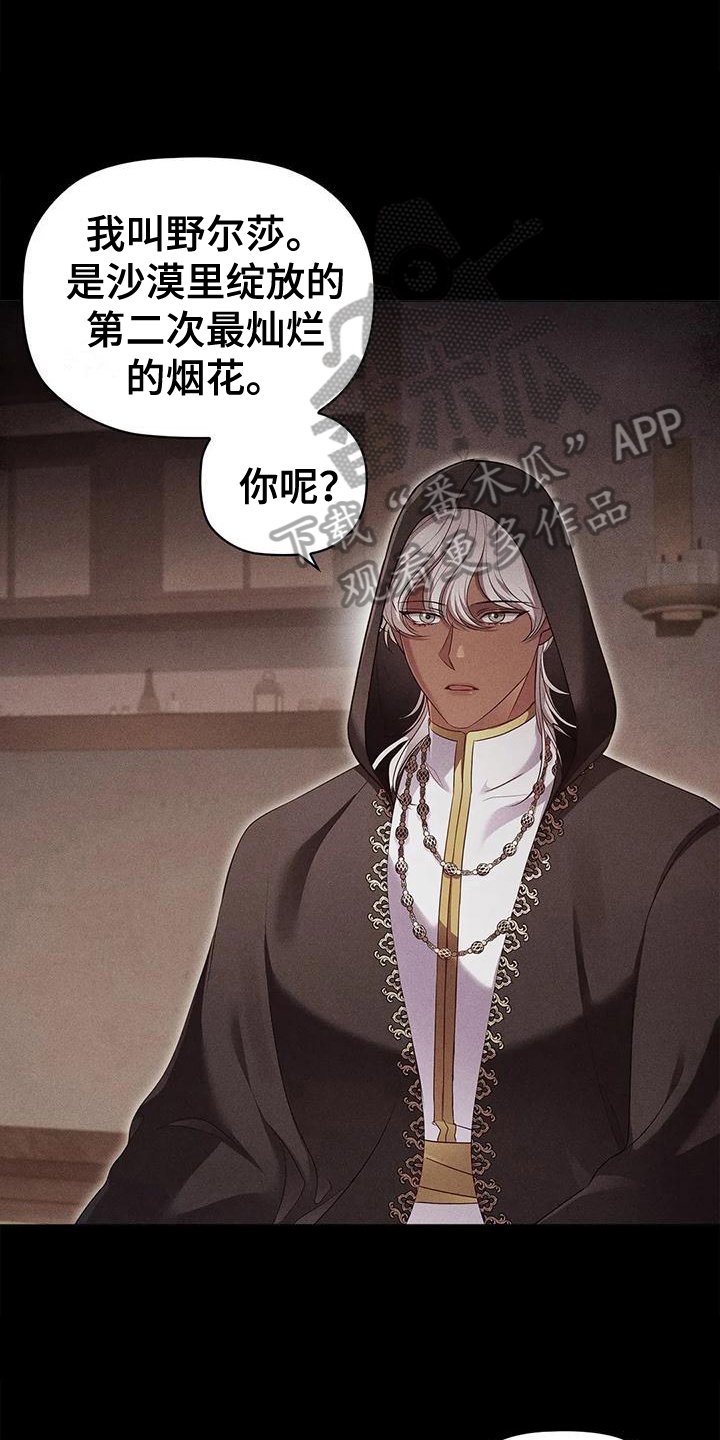 第47章：决心