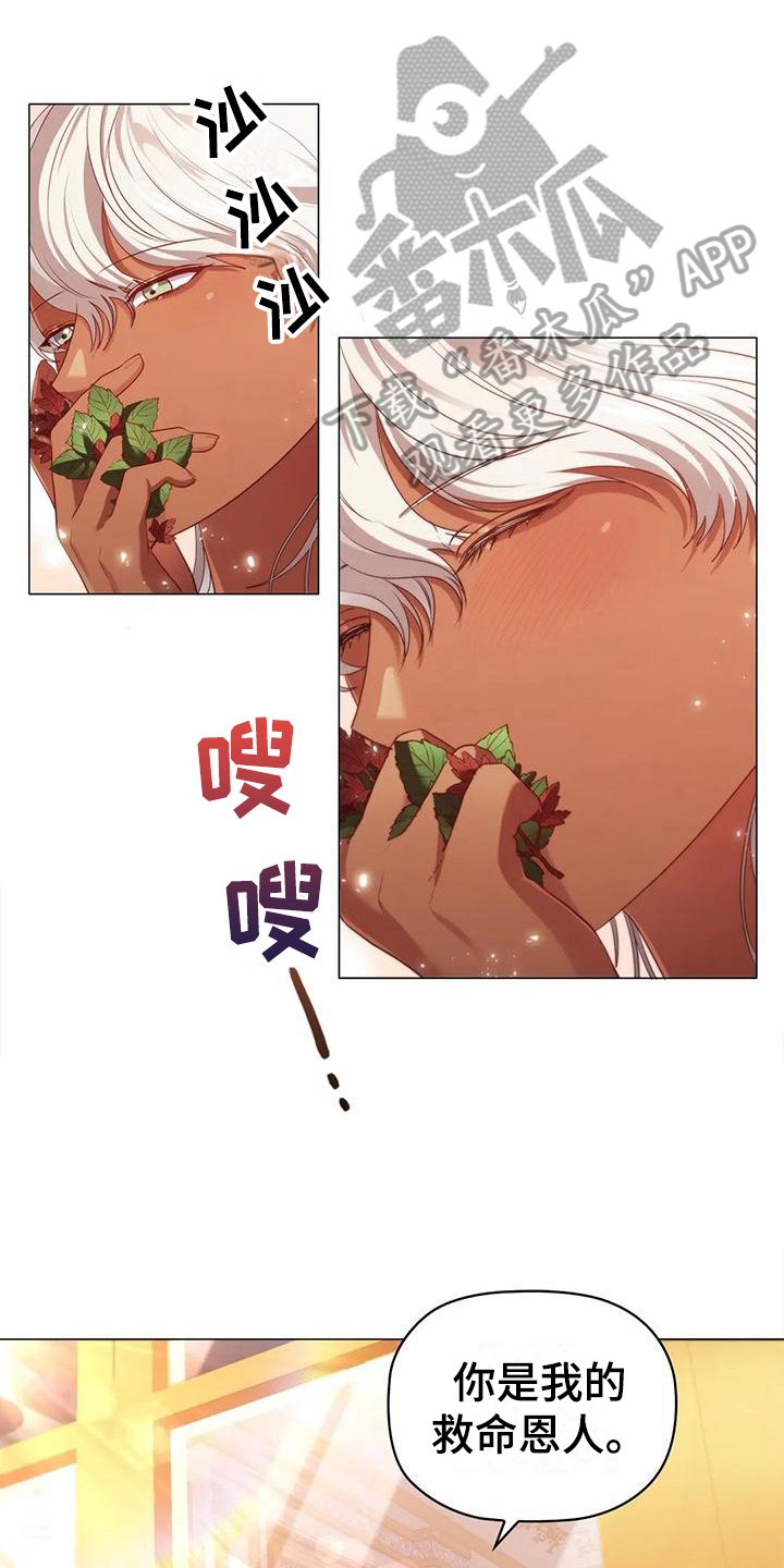 第48章：约定