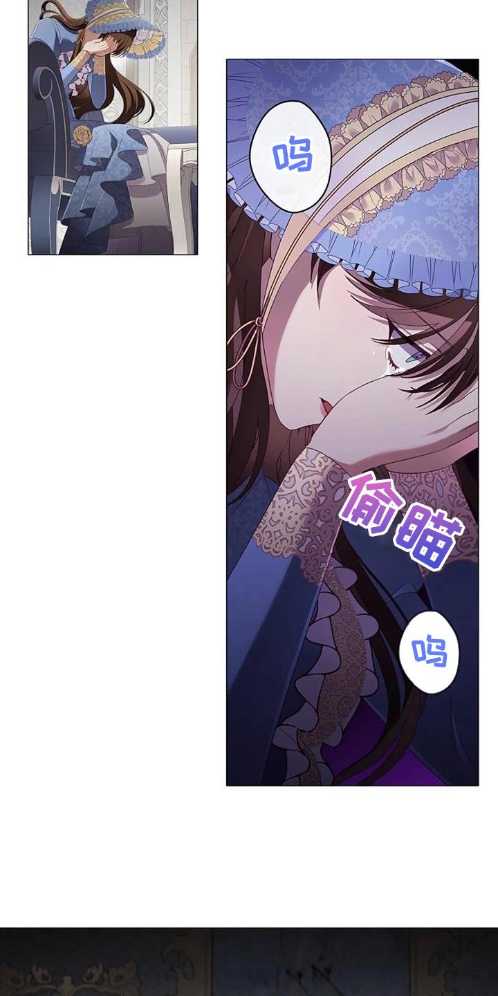 第52章：挑衅