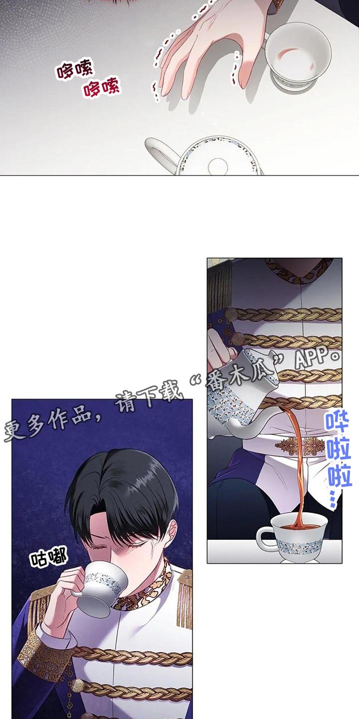 第52章：挑衅