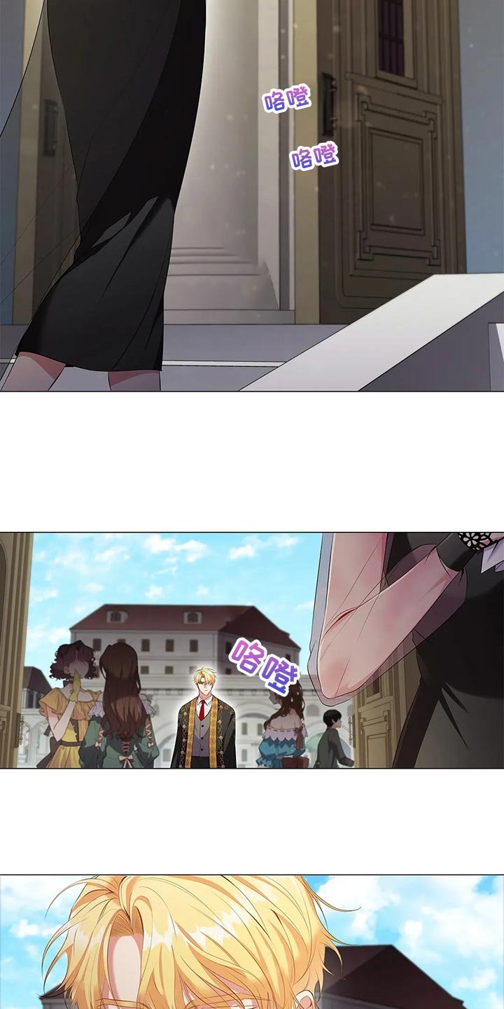 第66章：观察