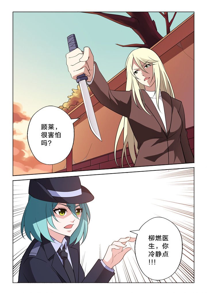 第19章：追逐