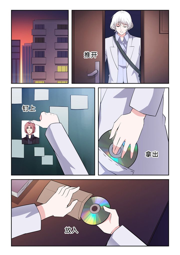 第3章：真容