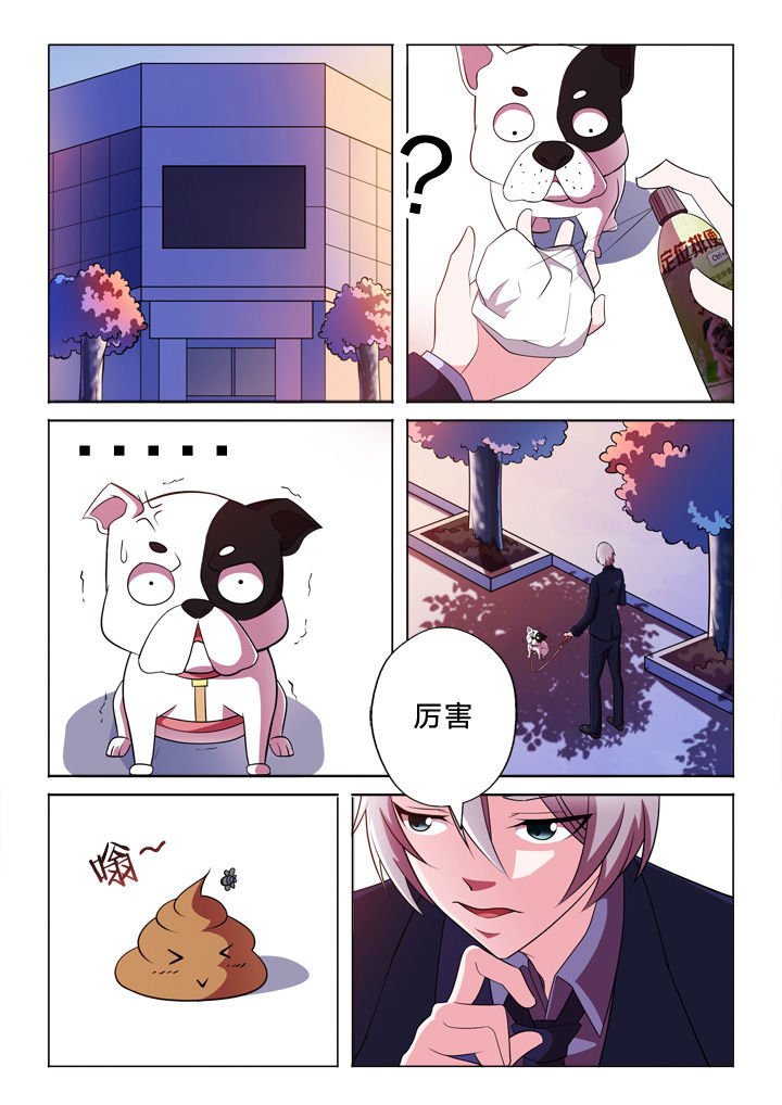 第33章：巧合