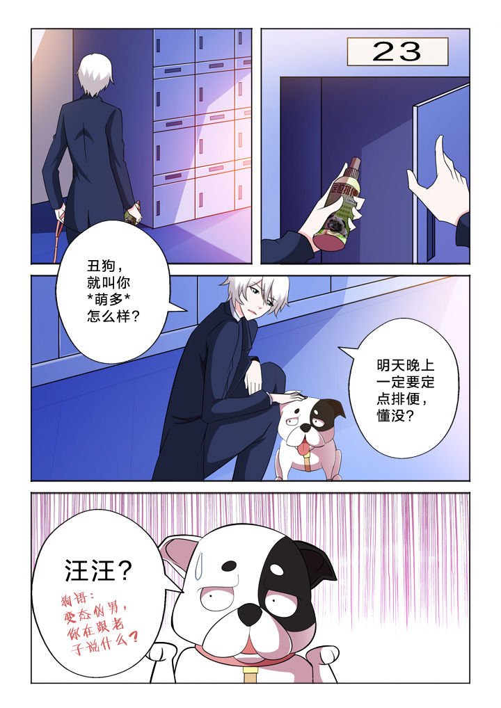 第33章：巧合