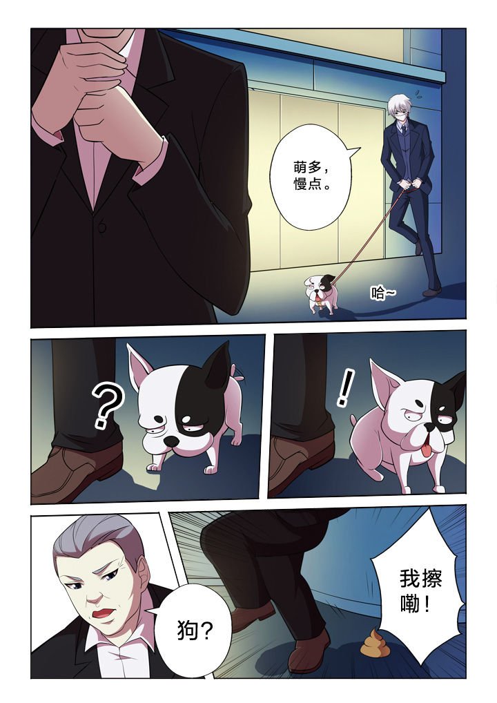第33章：巧合
