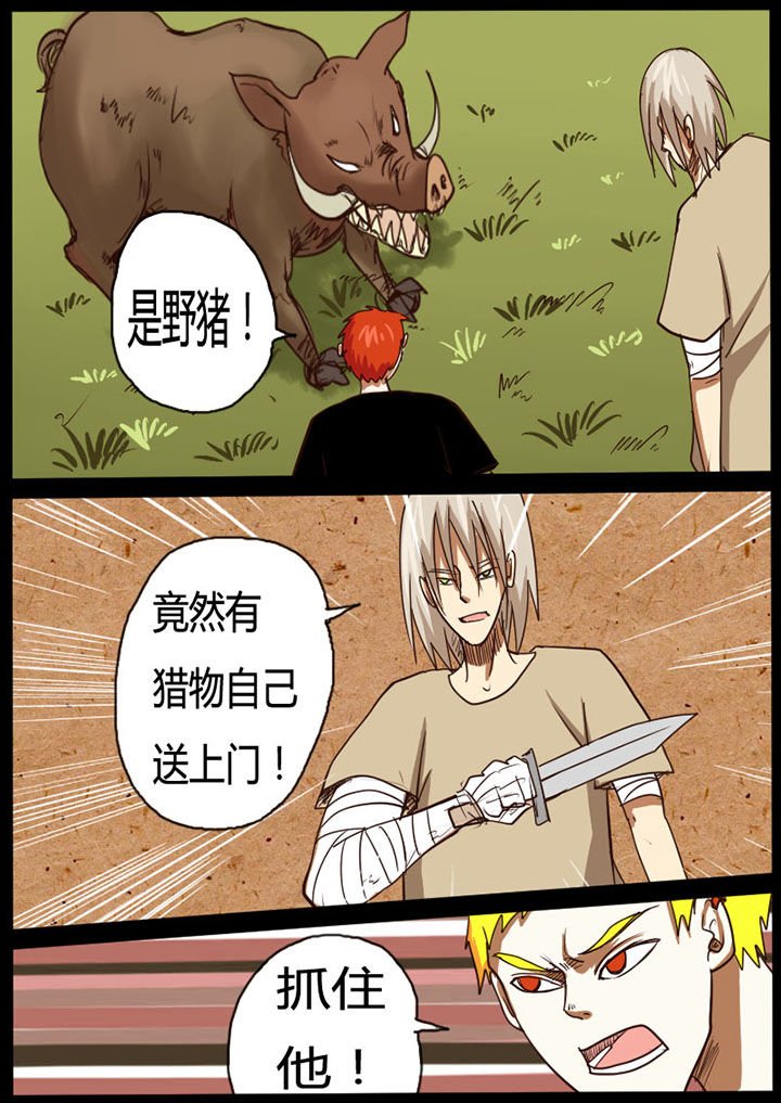 第31章：