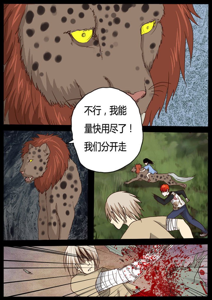 第54章：