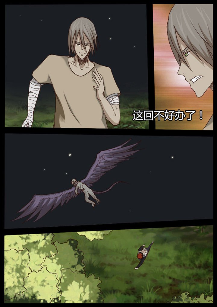 第54章：