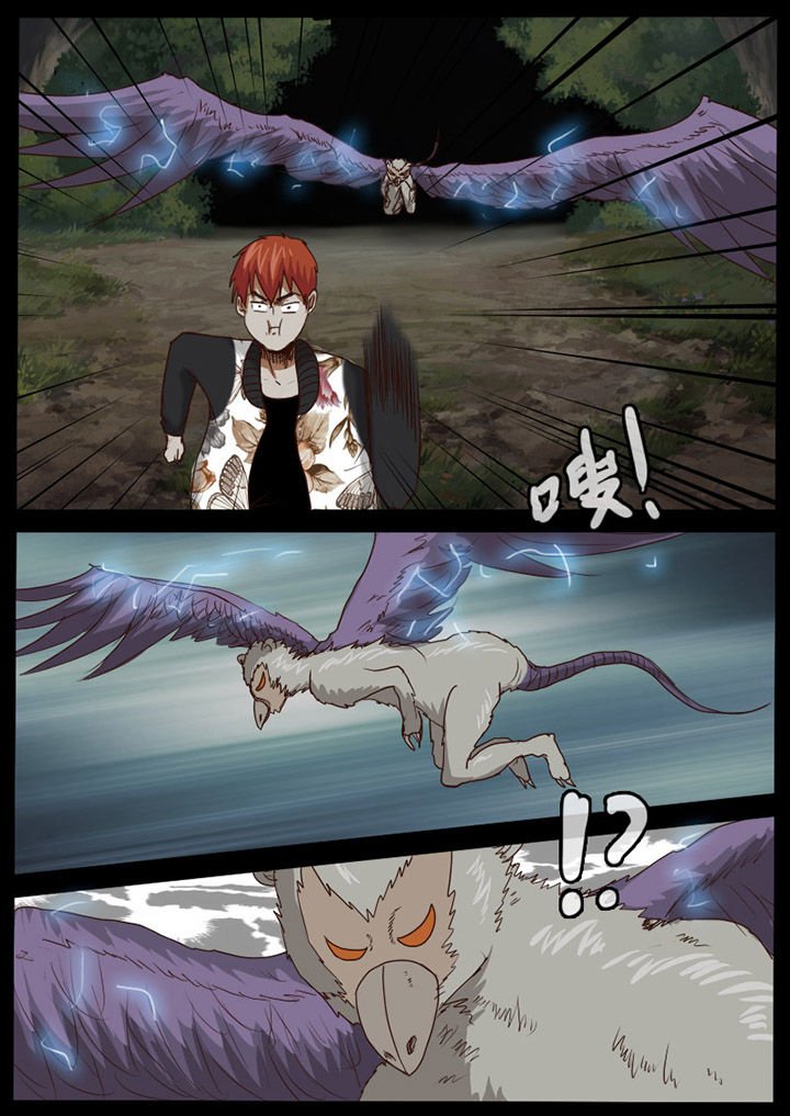 第55章：