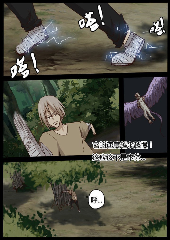 第55章：