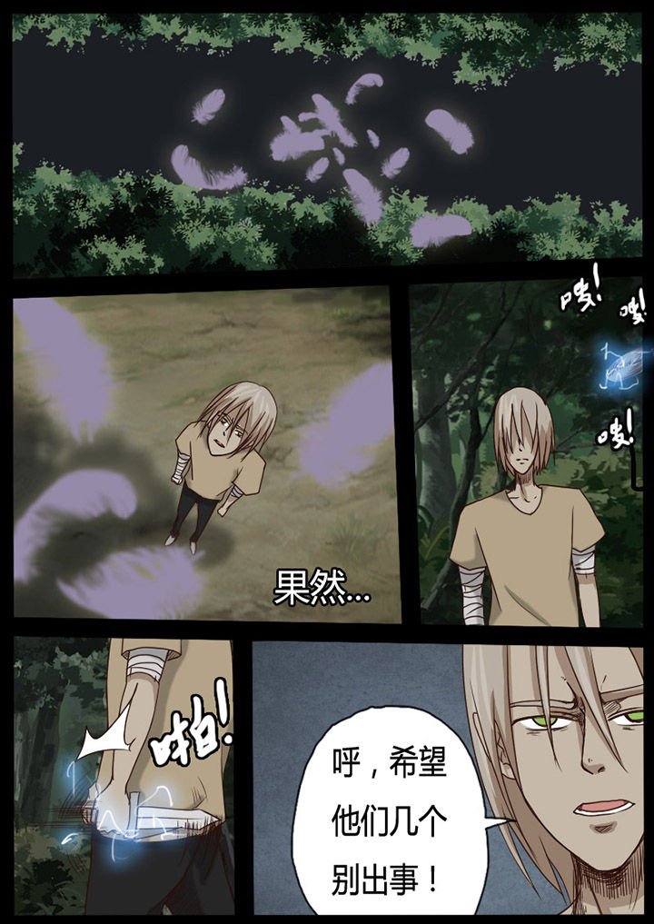 第56章：