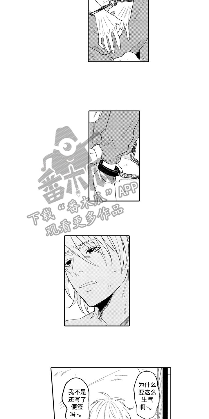第4章：愿望
