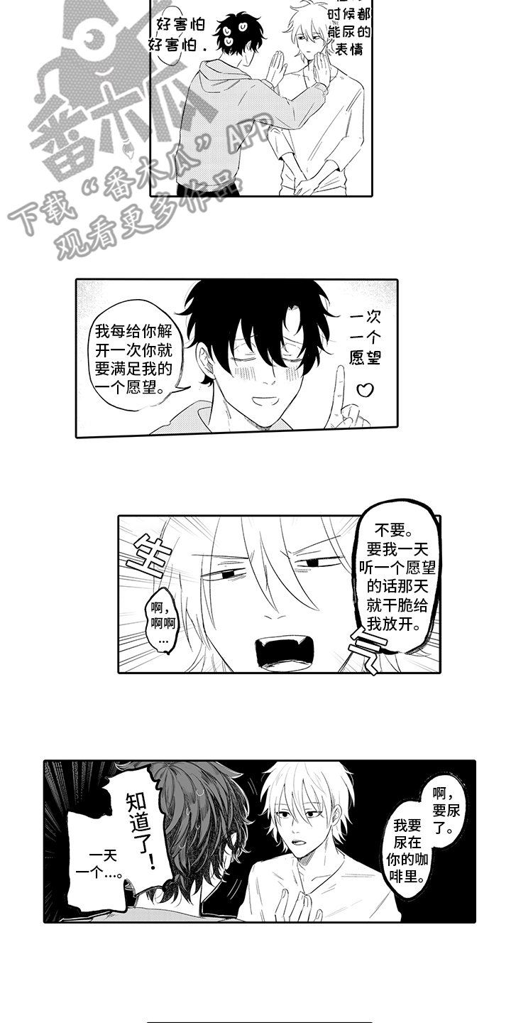 第4章：愿望