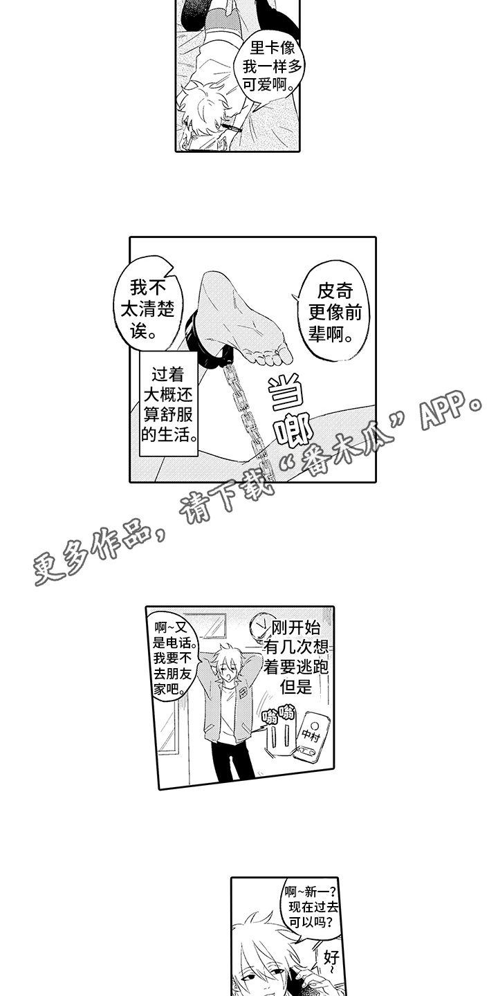 第5章：慢慢习惯