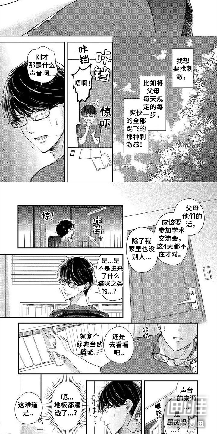 第11章：奇怪的家政