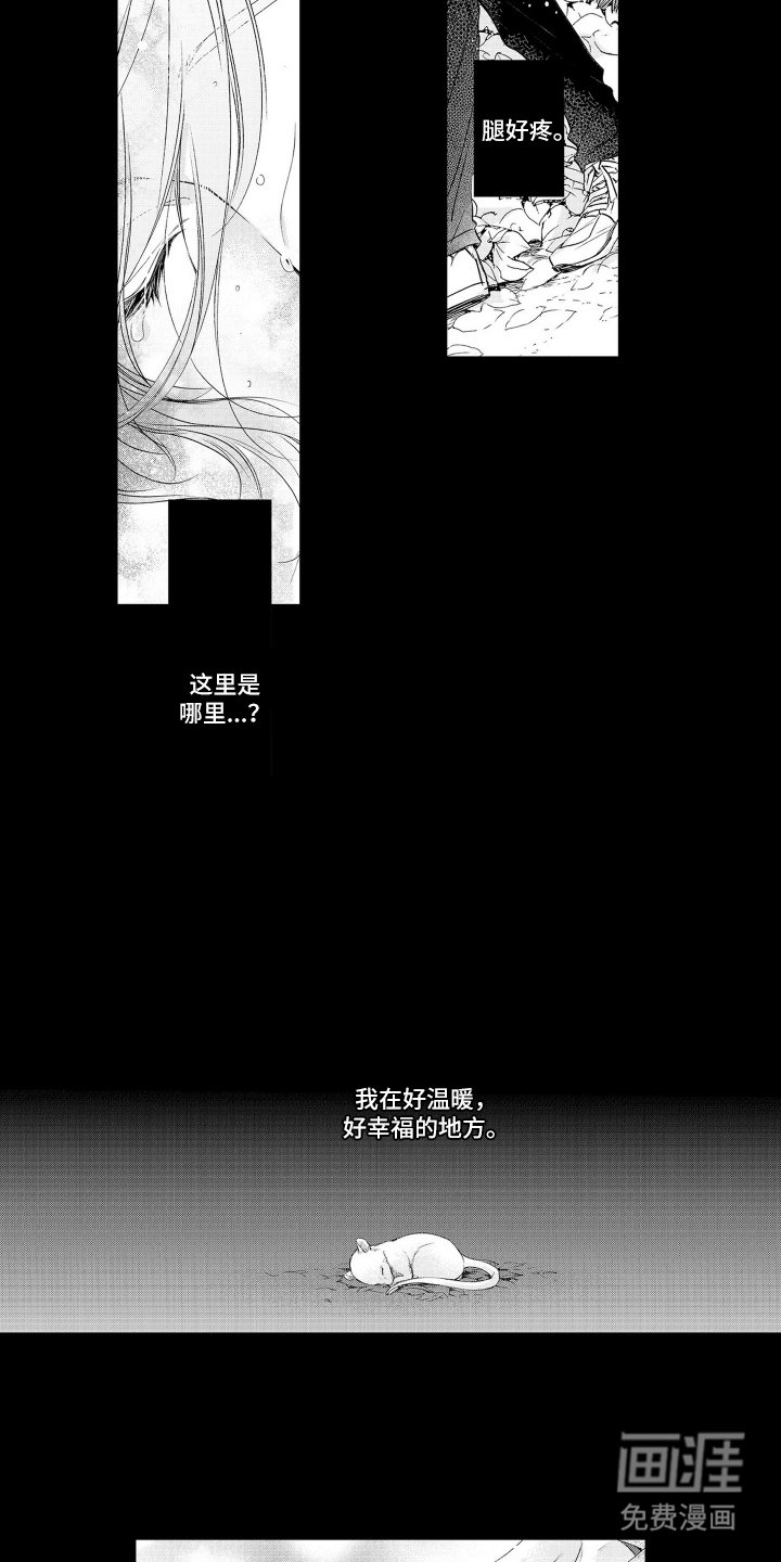 第17章：磨难