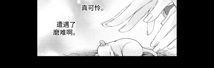 第17章：磨难