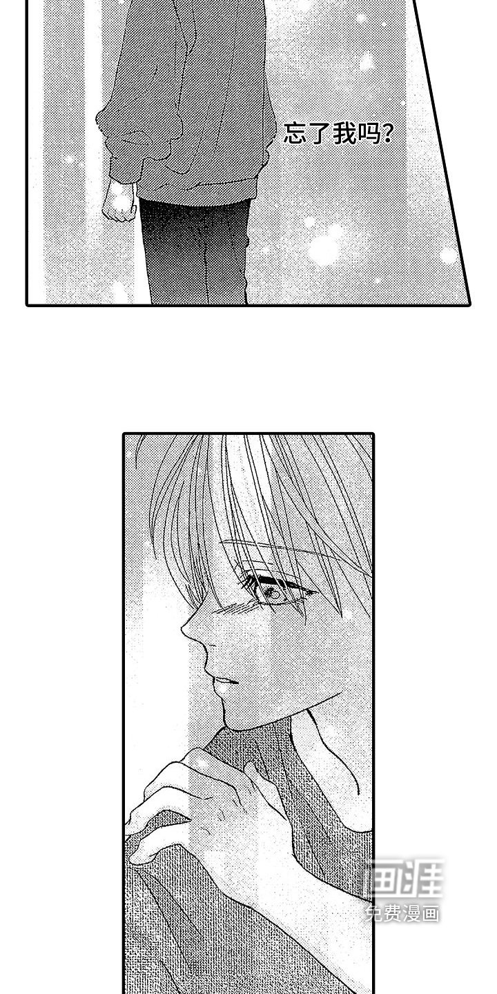 第17章：情不自禁
