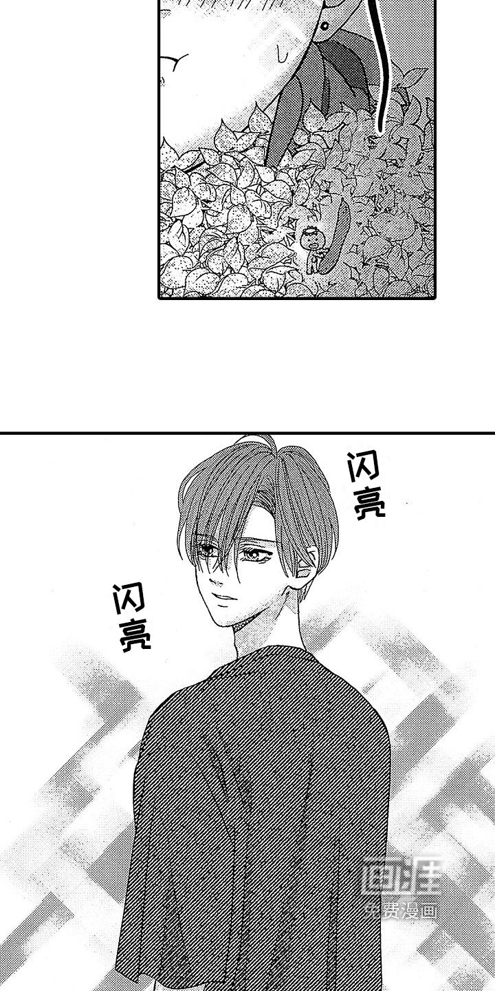 第18章：暗中观察