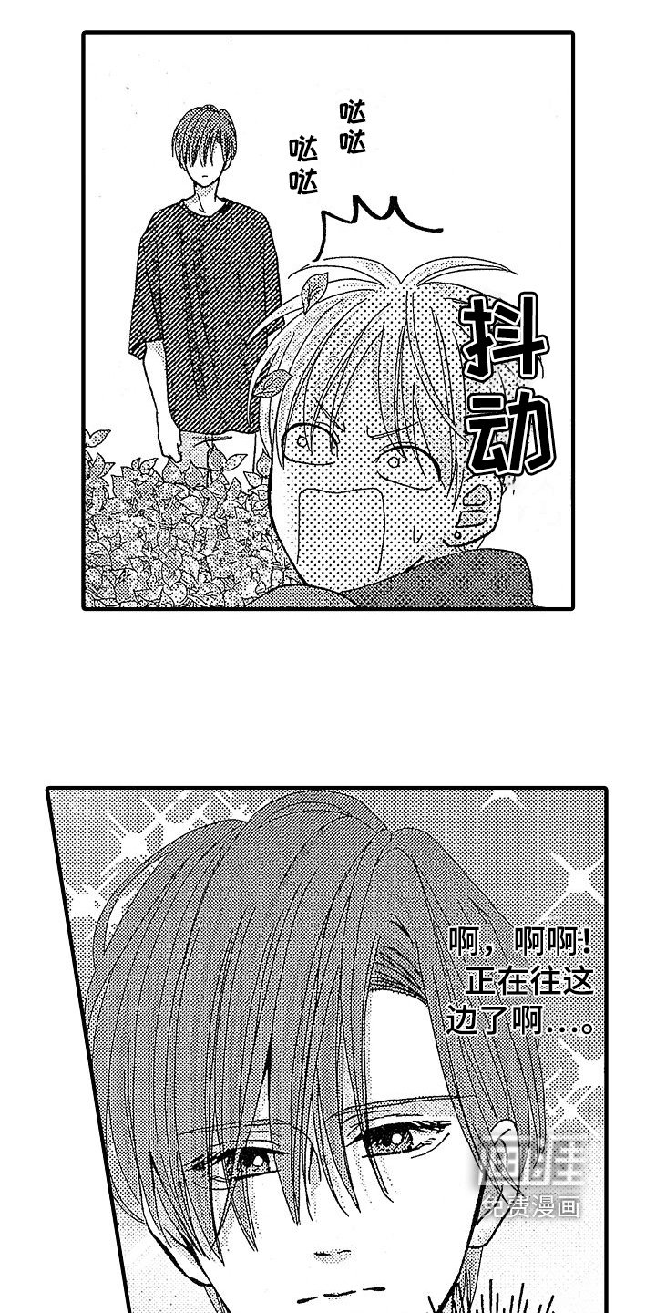 第18章：暗中观察