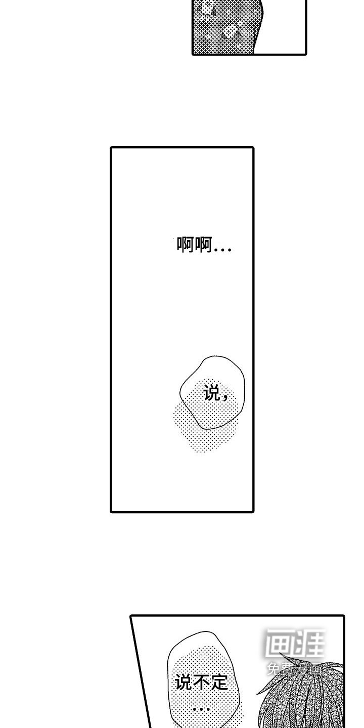 第31章：提议