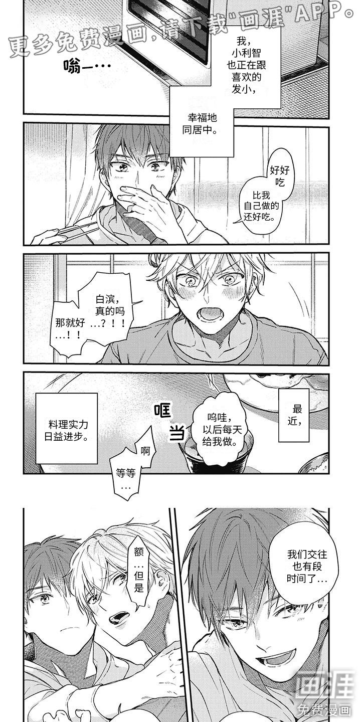 第13章：围裙
