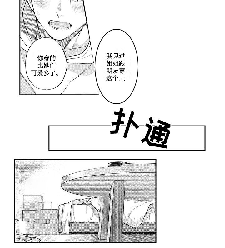 第13章：围裙