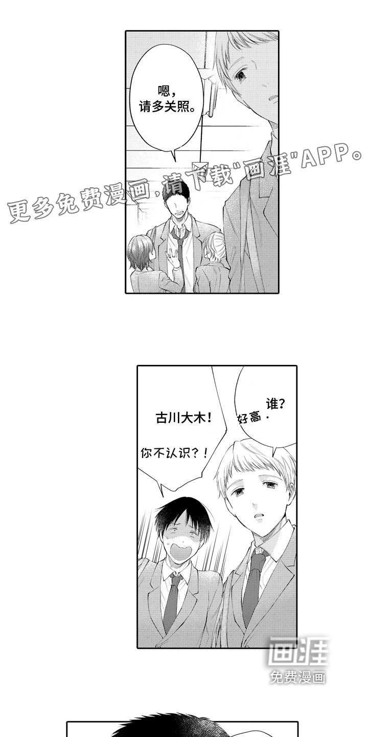 第17章：幸福【完结】