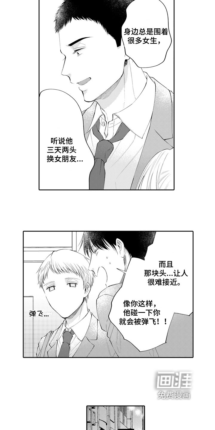 第17章：幸福【完结】