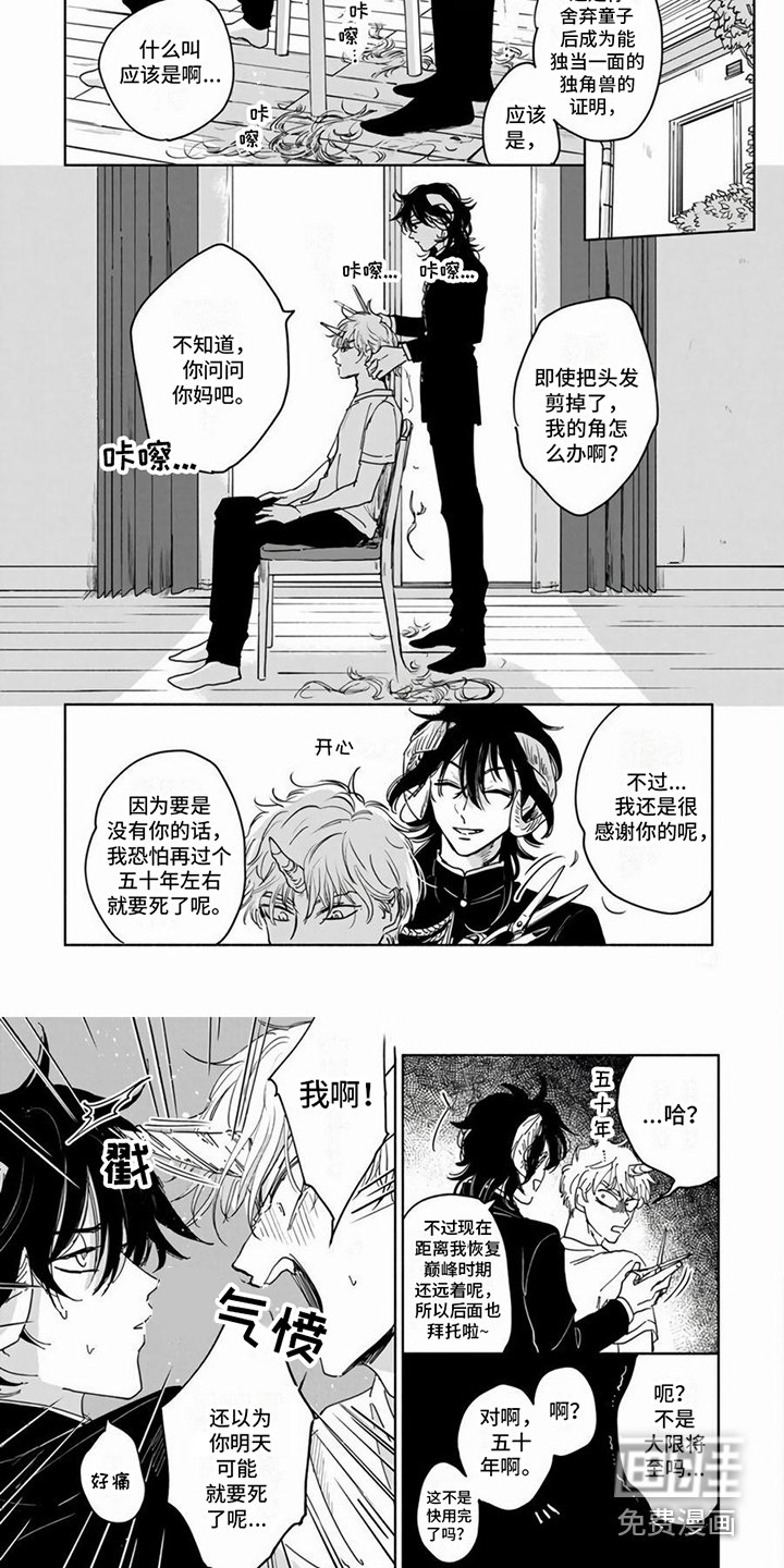 第11章：心里话