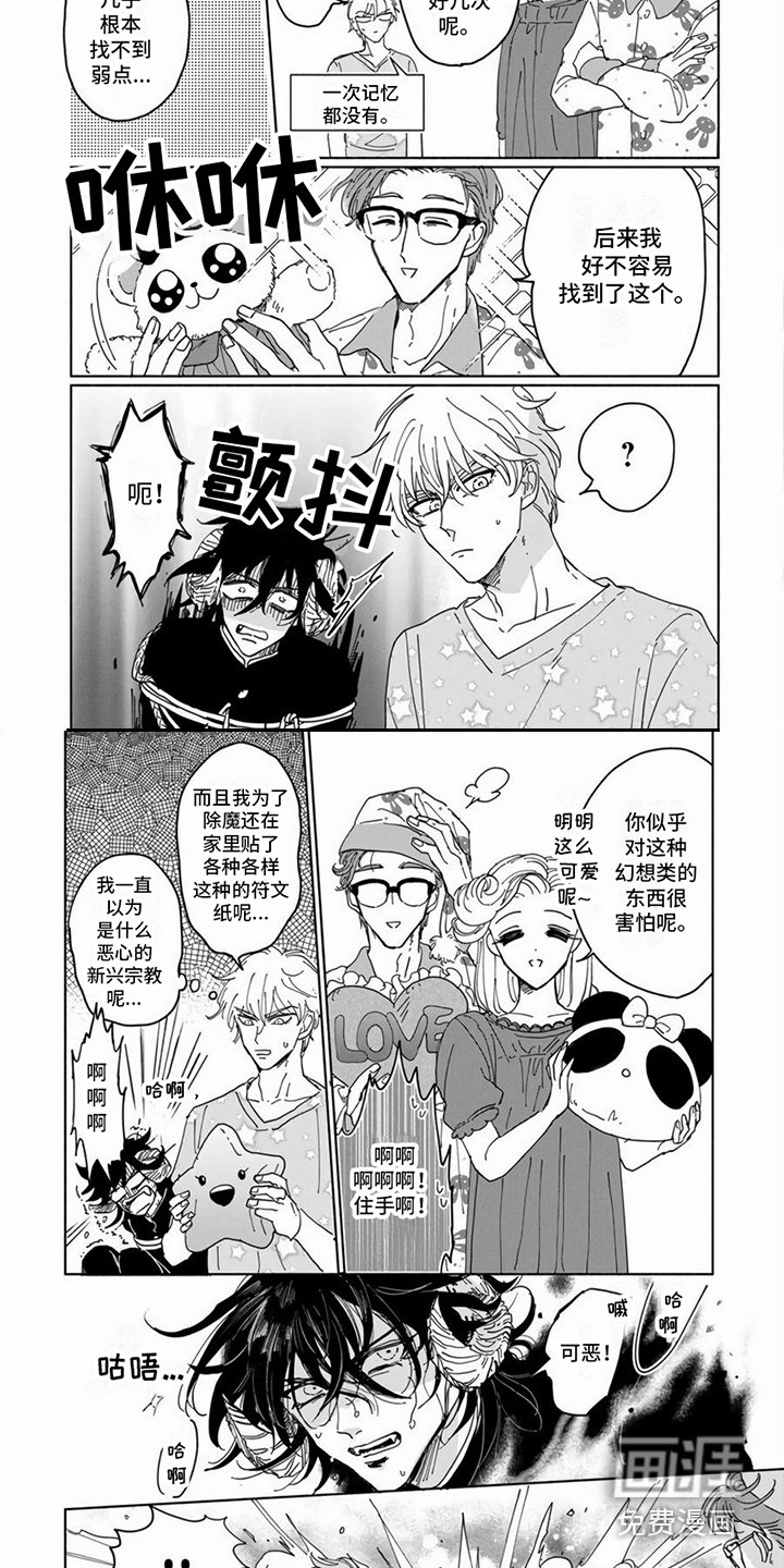 第4章：弱点