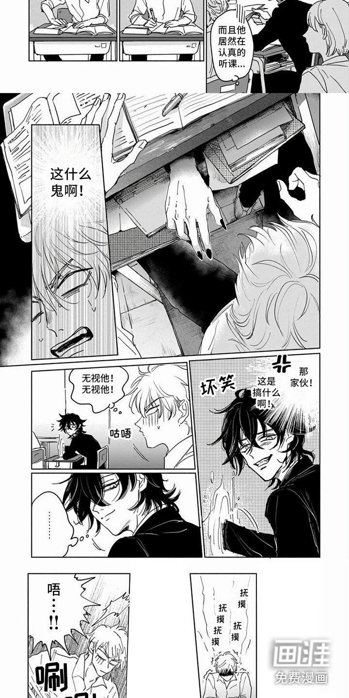 第5章：随心所欲